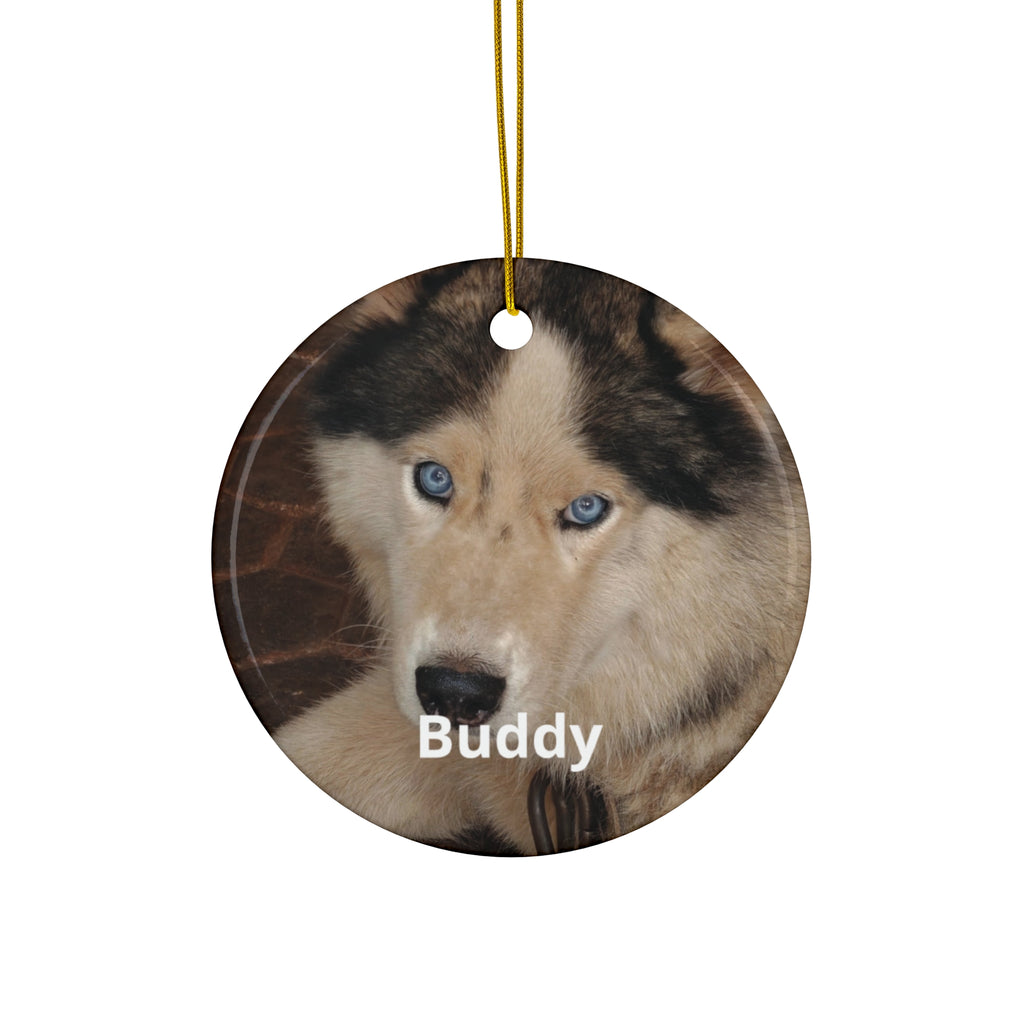 Custom Pet Portrait Ornament - Your Pet's Photo & Name