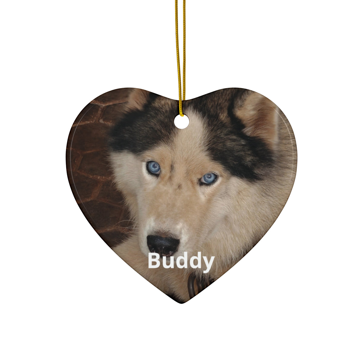 Custom Pet Portrait Ornament - Your Pet's Photo & Name