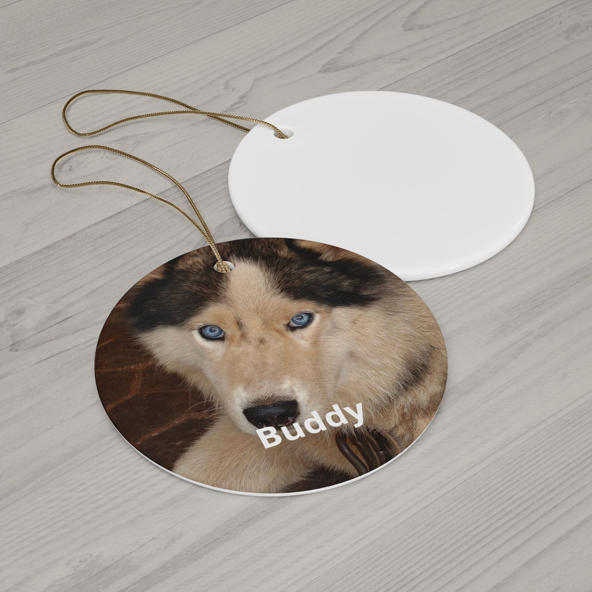 Custom Pet Portrait Ornament - Your Pet's Photo & Name